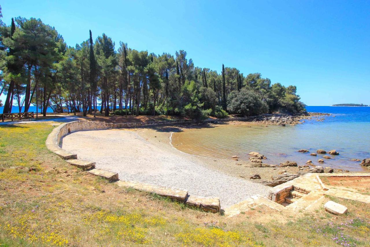 Villa Vanesa With Private Pool Near Rovinj - Open 2022 Rovinjsko Selo