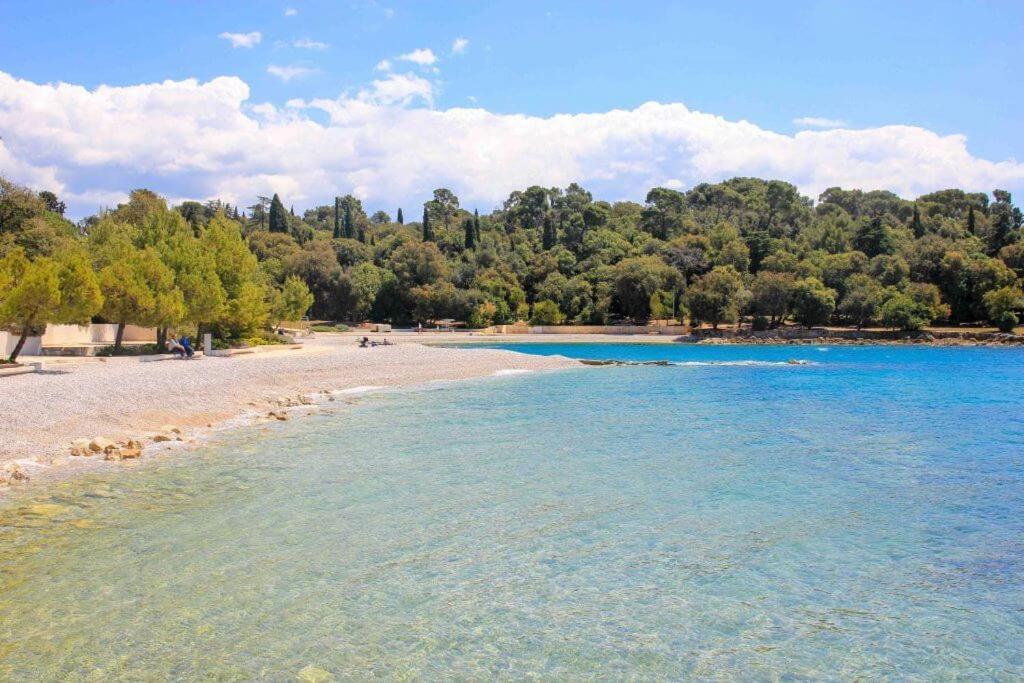 Vanesa With Private Pool Near Rovinj - Open 2022